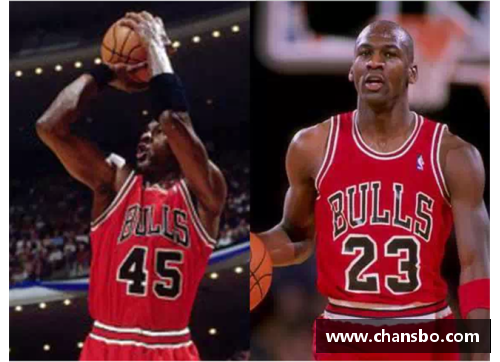 NBA十大球星号码探秘:传奇数字背后的故事