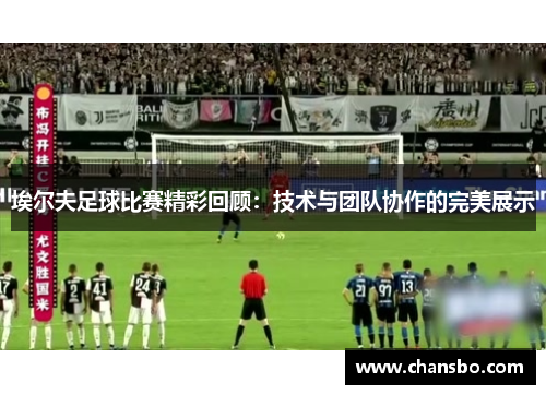 埃尔夫足球比赛精彩回顾:技术与团队协作的完美展示